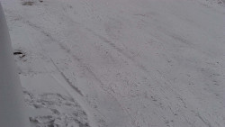 Nástup na běžecké tratě