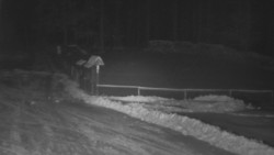 Nástup na běžecké tratě