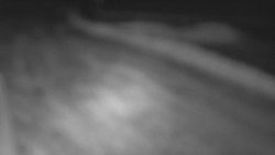 Nástup na běžecké tratě