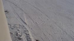 Nástup na běžecké tratě