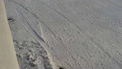 Nástup na běžecké tratě