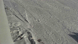 Nástup na běžecké tratě