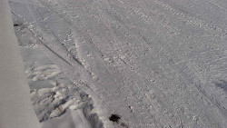 Nástup na běžecké tratě