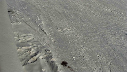 Nástup na běžecké tratě