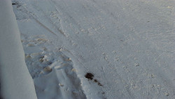 Nástup na běžecké tratě