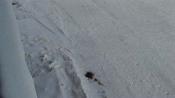 Nástup na běžecké tratě