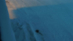 Nástup na běžecké tratě