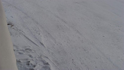 Nástup na běžecké tratě