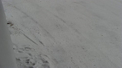 Nástup na běžecké tratě