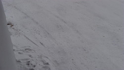 Nástup na běžecké tratě