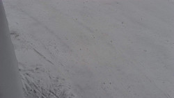 Nástup na běžecké tratě