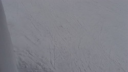 Nástup na běžecké tratě