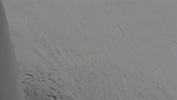 Nástup na běžecké tratě