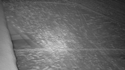 Nástup na běžecké tratě