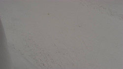 Nástup na běžecké tratě