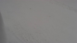 Nástup na běžecké tratě