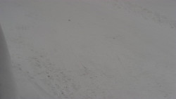 Nástup na běžecké tratě