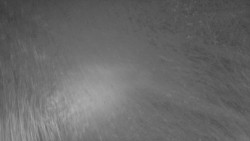 Nástup na běžecké tratě