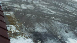 Nástup na běžecké tratě