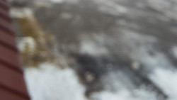 Nástup na běžecké tratě