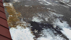 Nástup na běžecké tratě