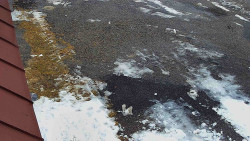 Nástup na běžecké tratě