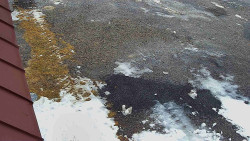 Nástup na běžecké tratě