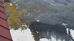 Nástup na běžecké tratě