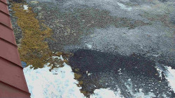 Nástup na běžecké tratě