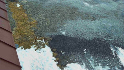 Nástup na běžecké tratě