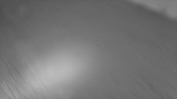 Nástup na běžecké tratě