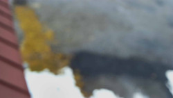 Nástup na běžecké tratě