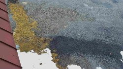 Nástup na běžecké tratě