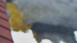 Nástup na běžecké tratě