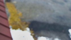 Nástup na běžecké tratě