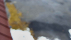 Nástup na běžecké tratě