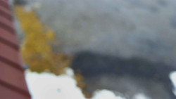 Nástup na běžecké tratě