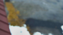 Nástup na běžecké tratě