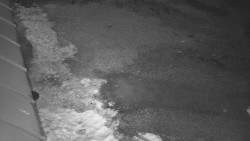 Nástup na běžecké tratě