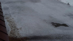 Nástup na běžecké tratě