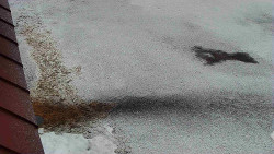 Nástup na běžecké tratě