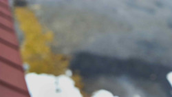 Nástup na běžecké tratě