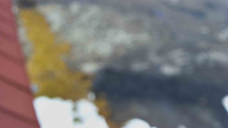 Nástup na běžecké tratě