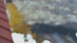 Nástup na běžecké tratě