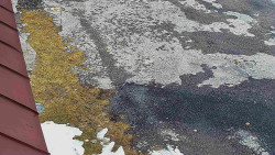 Nástup na běžecké tratě