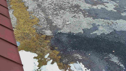 Nástup na běžecké tratě