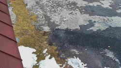 Nástup na běžecké tratě