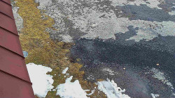 Nástup na běžecké tratě