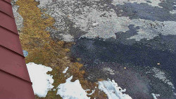 Nástup na běžecké tratě