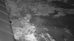 Nástup na běžecké tratě